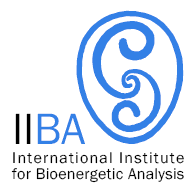 iiba logo