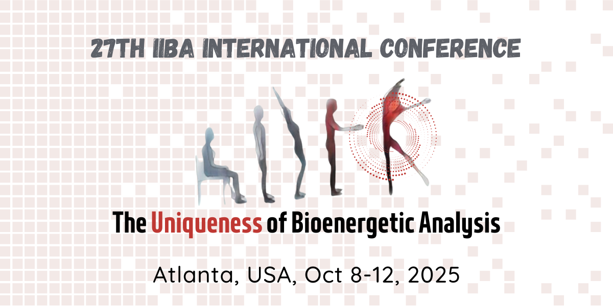 27th IIBA International Conference